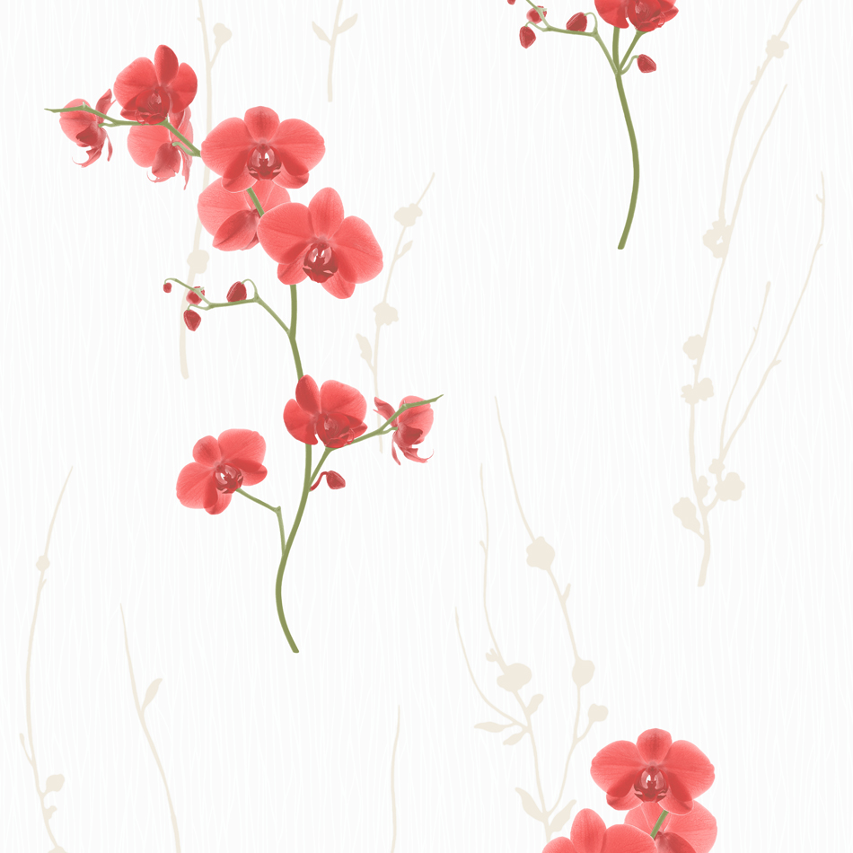 Red Orchid Wallpaper