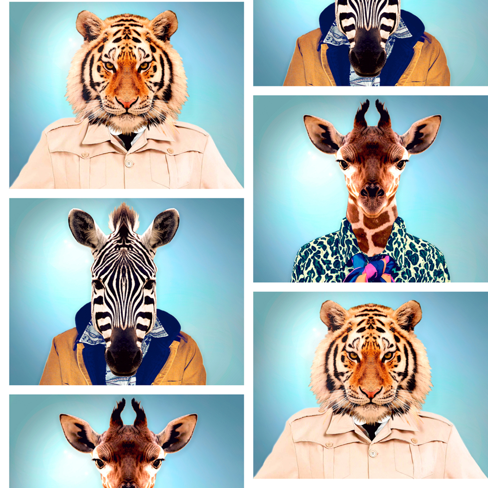 Modern Wallpaper Animal Photo Booth Muriva 601540 Murivamuriva 1 2
