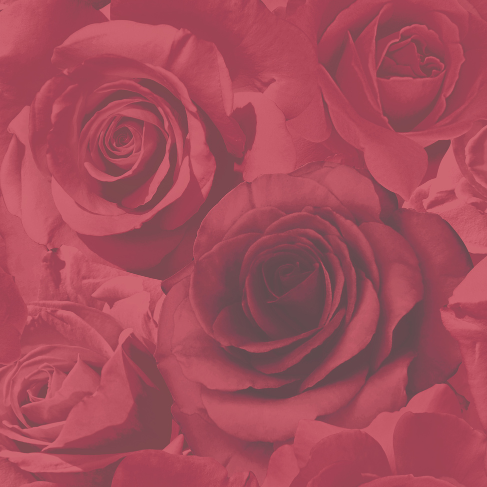 Floral Wallpaper Madison - Muriva Floral Wallpaper Madison - Muriva