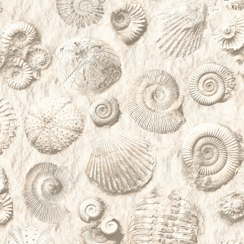 Mural Wallpaper Fossils