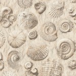 Mural Wallpaper Fossils