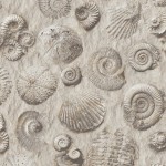 Mural Wallpaper Fossils