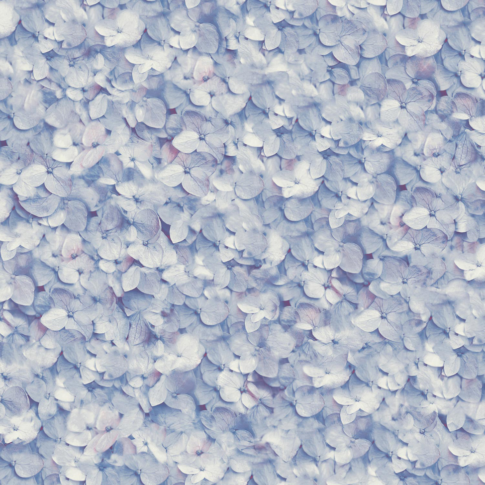 Floral Wallpaper Hydrangea Blue L11901
