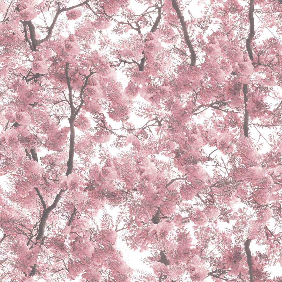 Floral Wallpaper Canopy Pink Muriva L33103 WP