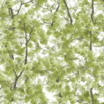 Floral Wallpaper Canopy Green Muriva L33104 WP